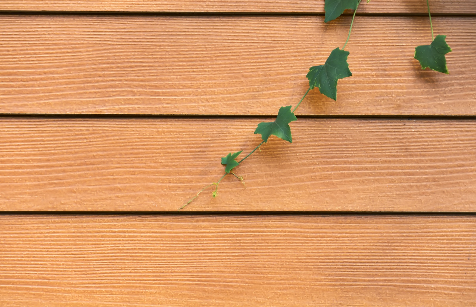 Is Engineered Wood Siding Right for Your Home?